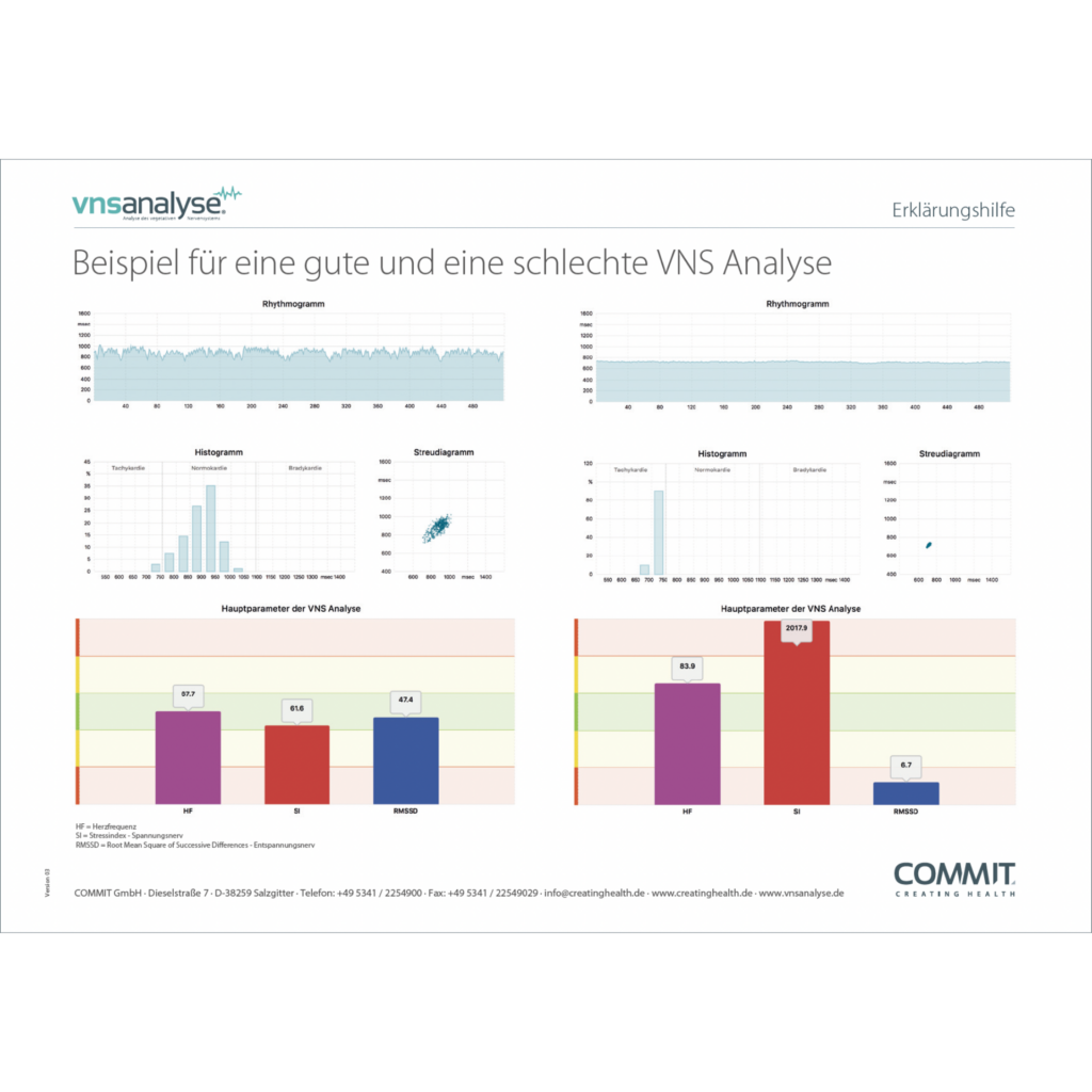 VNS Analyse Erklärungshilfe (5 St.)