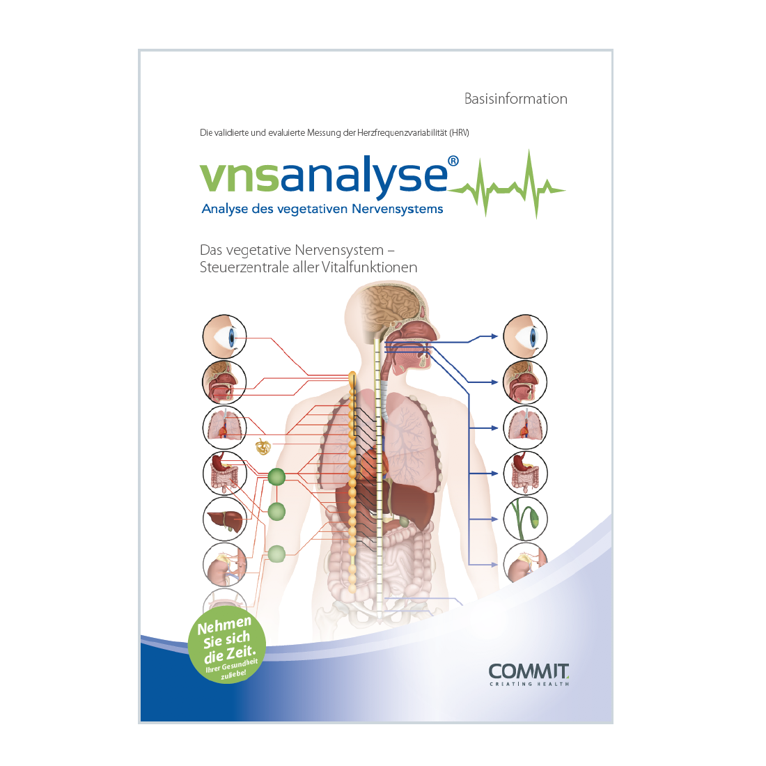 VNS Analyse Basisinformation