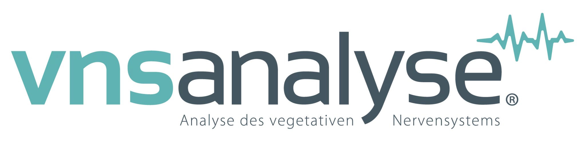 VNS-Analyse
